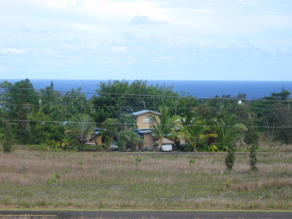 Coconut Palms Vacation Rental Near Lava Fields And Beaches Kehena Oda fotoğraf