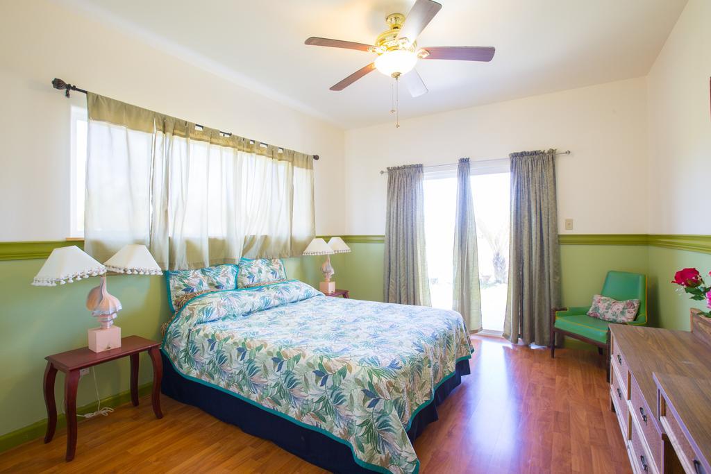 Coconut Palms Vacation Rental Near Lava Fields And Beaches Kehena Dış mekan fotoğraf