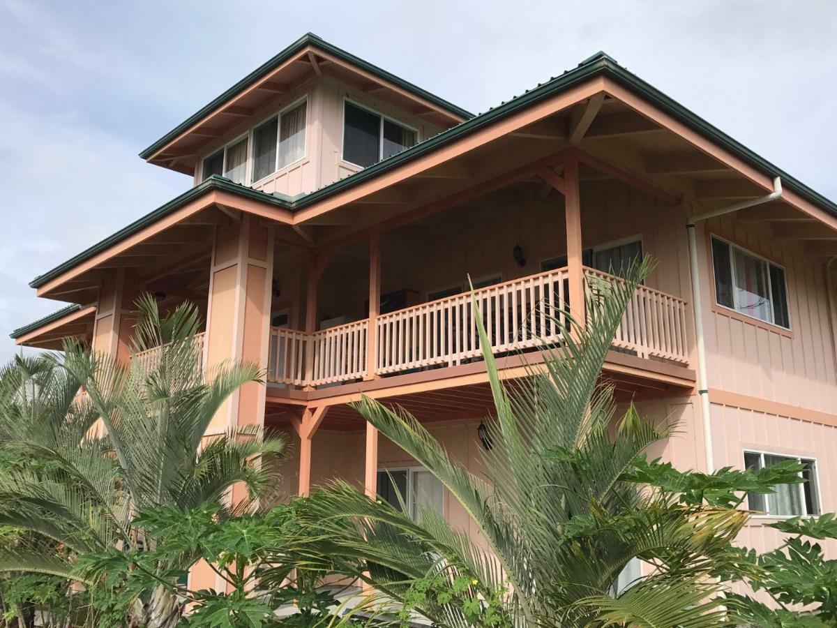 Coconut Palms Vacation Rental Near Lava Fields And Beaches Kehena Dış mekan fotoğraf