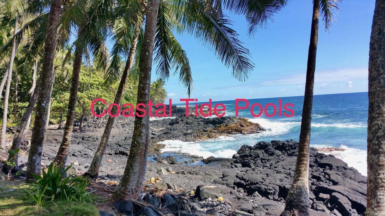 Coconut Palms Vacation Rental Near Lava Fields And Beaches Kehena Dış mekan fotoğraf